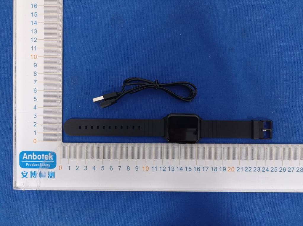 Smart watch - FCC ID 2A2BMTGW101 - Deepblu ApS