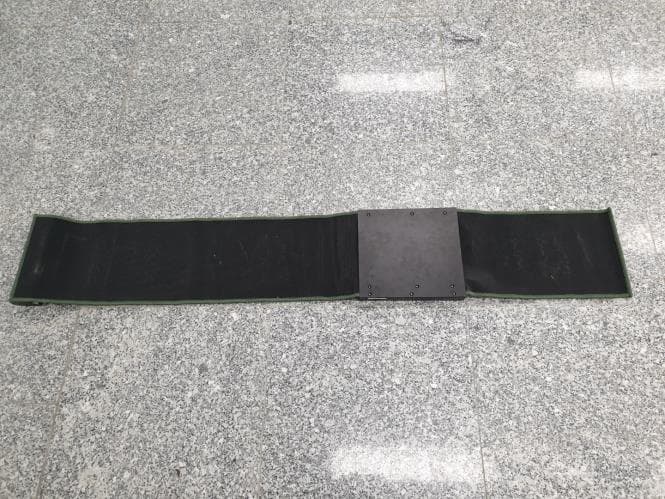 InBirdie TEMPO plus - FCC ID 2A3CB-INBIRDIETP3 - DMBH Co., Ltd. (2)