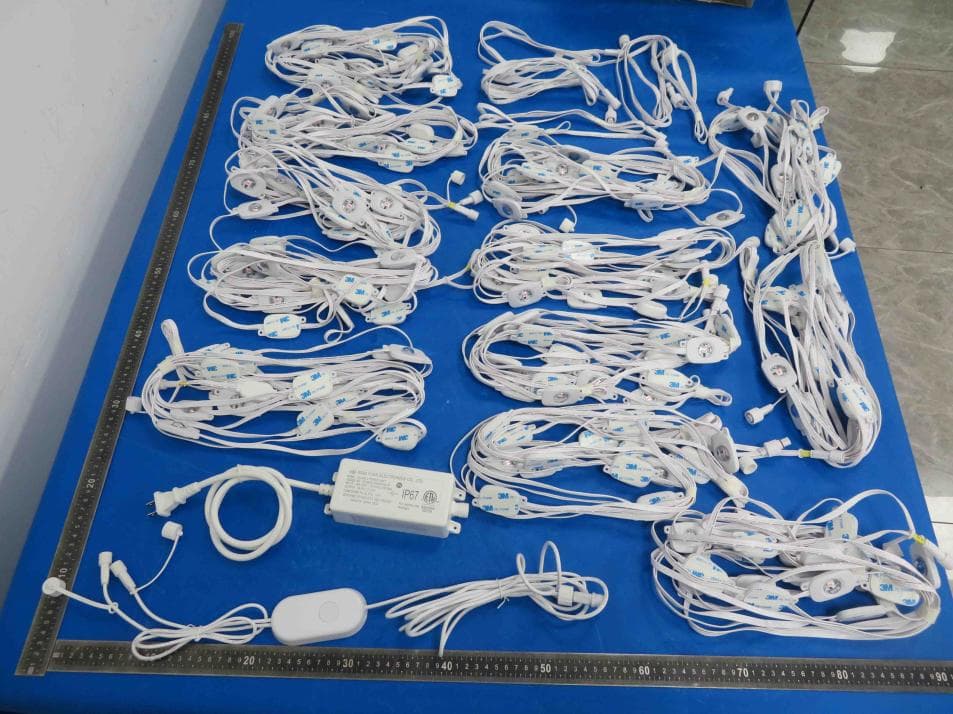 AI LED permanent lights - FCC ID 2A3MAEE1 - Lepro Innovation INC