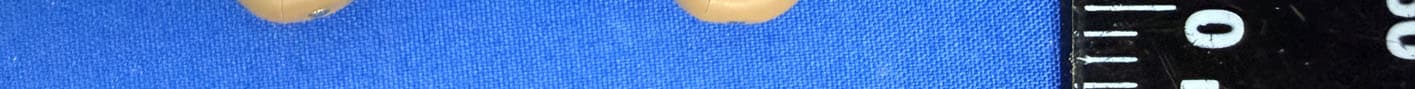 Digital Rechargeable BTE Hearing Aids - FCC ID 2A445FAIP916-DW - Austar Hearing Science and Technology (Xiamen) Co., Ltd. (5)