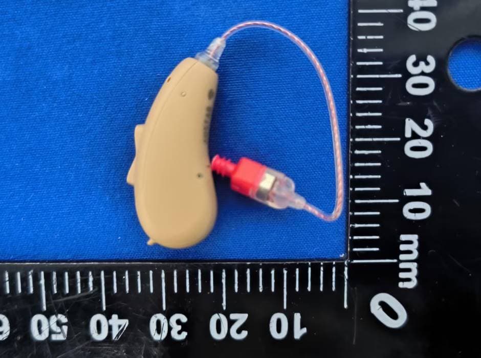 BTE Hearing aids - FCC ID 2A445FXC5RMP-B - Austar Hearing Science and Technology (Xiamen) Co., Ltd. (2)