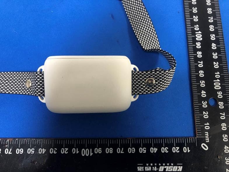 Smart Pet Fence System - FCC ID 2A4TE-AG19 - Shenzhen Realink Technology Co., Ltd. (3)