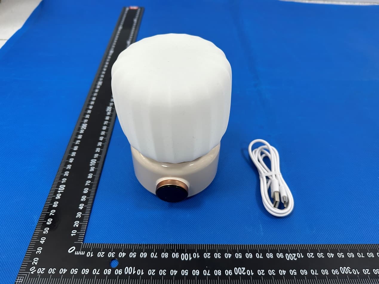 Cactus Music Sleeping Lamp - FCC ID 2A4ZV-S8 - Shenzhen Man Si Da Technology CO., LTD.