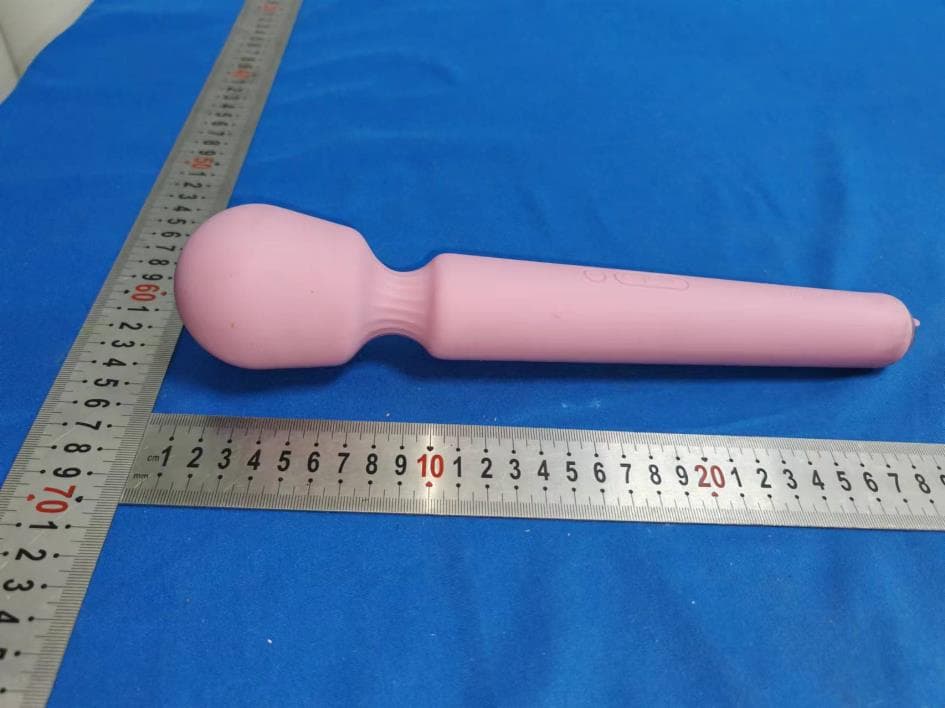 Emma Neo 2 - FCC ID 2A74F-SA299A - Shenzhen Svakom Technology Co., Ltd
