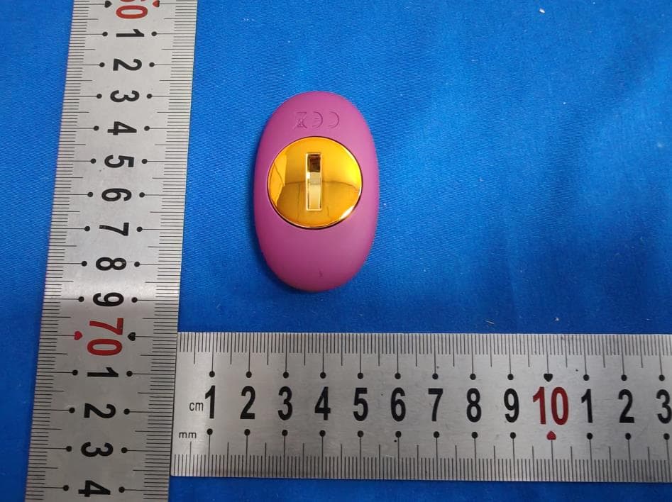 ELMER - FCC ID 2A74F-SCB02B - Shenzhen Svakom Technology Co., Ltd