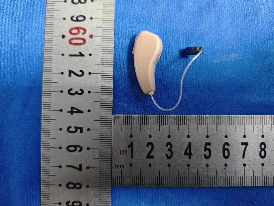 Hearing aid - FCC ID 2A7JZ-2407 - Xiamen Vienatone Medical Technology Co., Ltd.