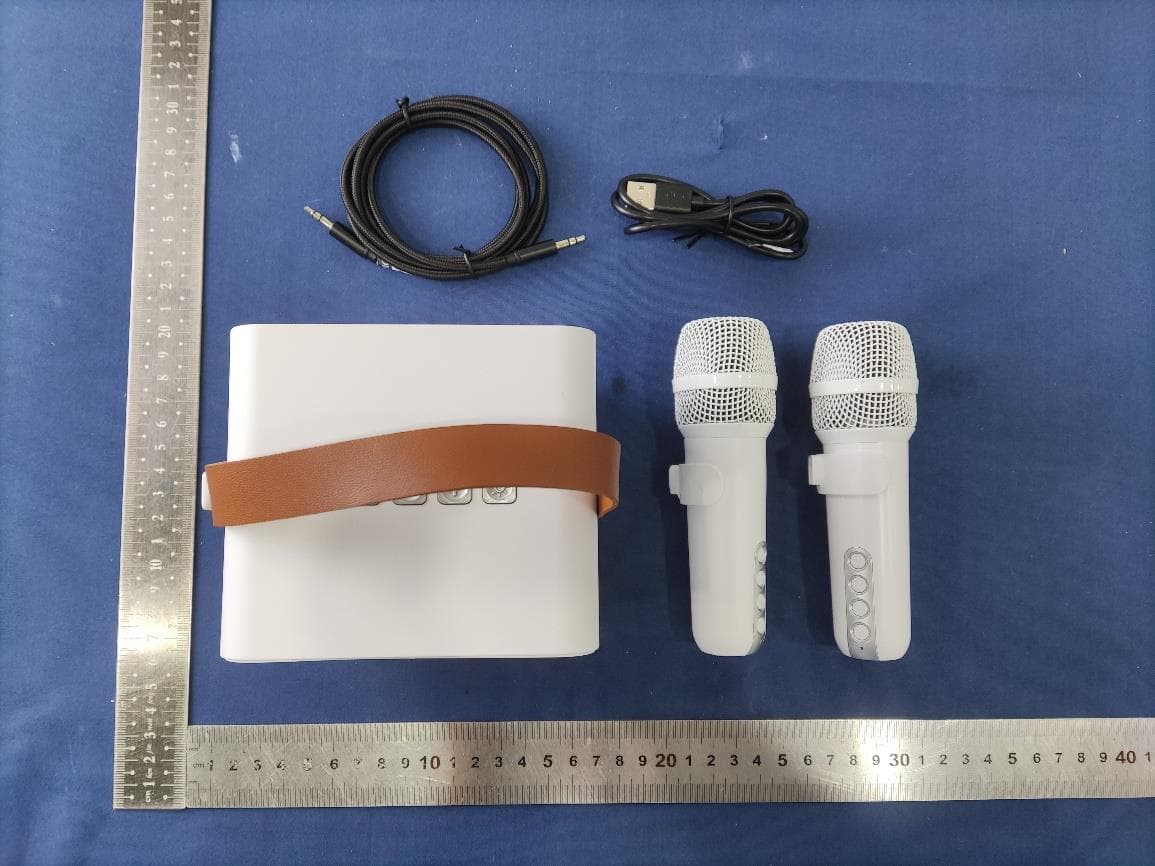 Animato S1 - FCC ID 2A7ZM-ANIMATOS1MIC - JBU GLOBAL LLC