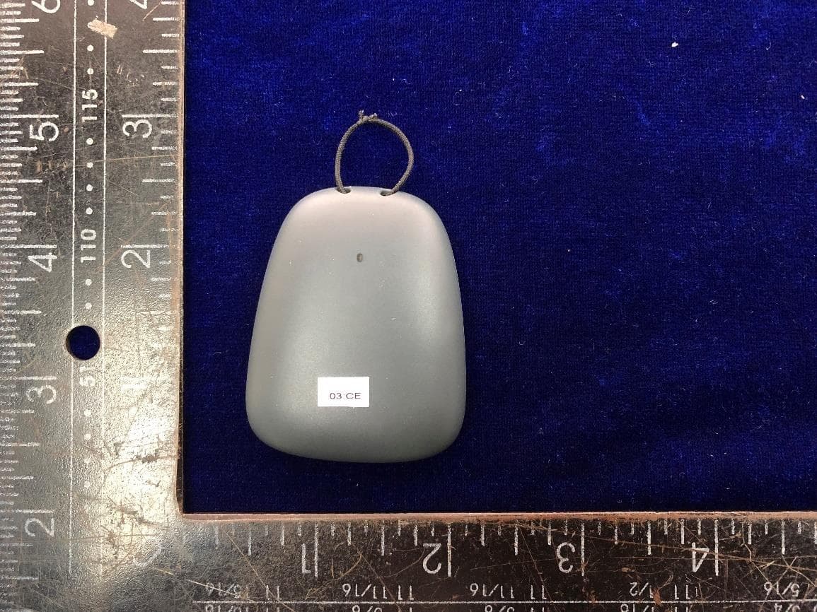 SIVA Wearable - FCC ID 2A885SIV1001 - SIVA Health AG (2)
