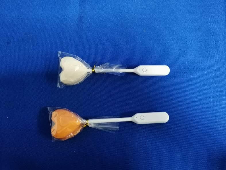 Lollitune Lollipop - FCC ID 2A8ZD-LOLLITUNE - Beijing Lollitune Technology Co., Ltd