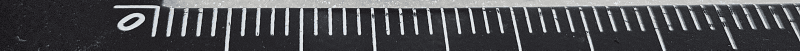 MEMO Patch T - FCC ID 2A9GVMPT-E14C-UNC01 - HUINNO Co., Ltd. (2)