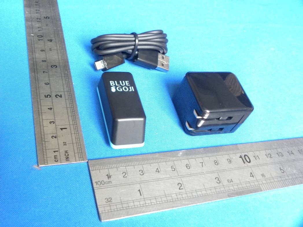 Goji play - FCC ID 2AADEMAB0726S - Blue Goji Corp (2)