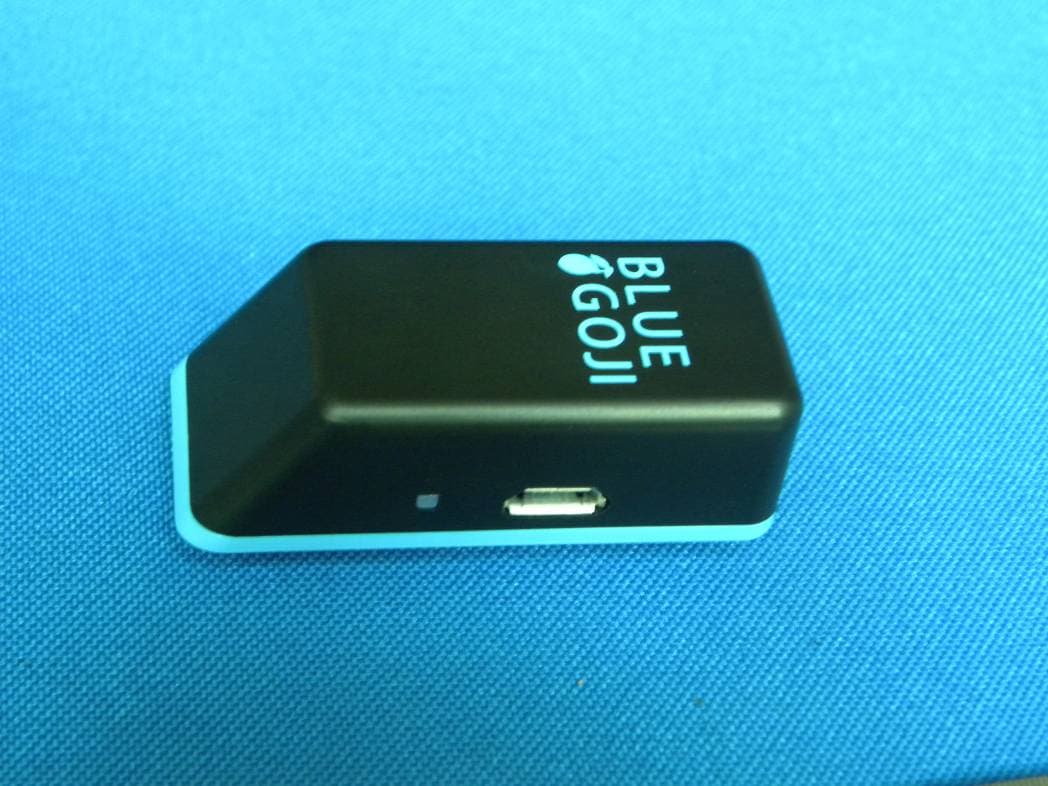 Goji play - FCC ID 2AADEMAB0726S - Blue Goji Corp (4)