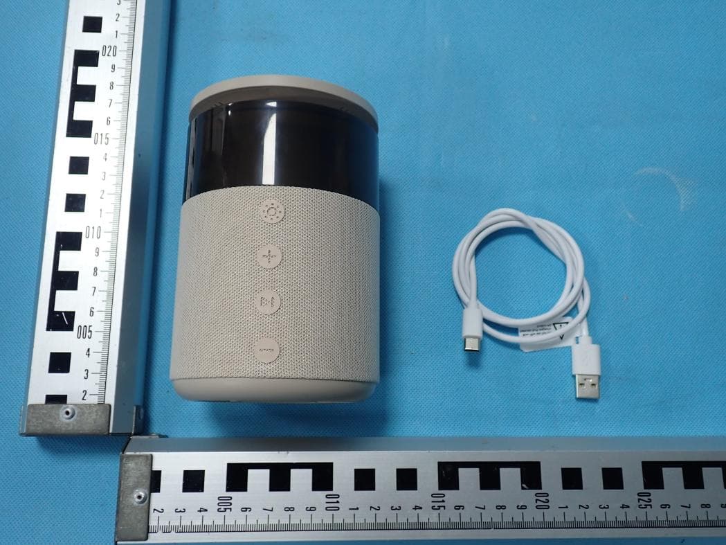 Speaker - FCC ID 2AANZSPCH - DGL Group LTD.