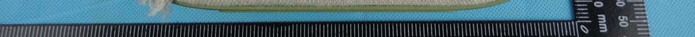 Bluetooth Speaker - FCC ID 2AAP8-VIFANORDIC - Guoguang Electric Co.,Ltd