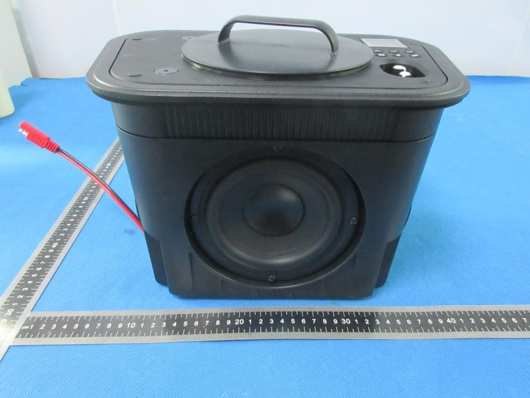 Subwoofer - FCC ID 2AAUI-GDIEXYMHSUB01 - Grace Digital Inc. (2)