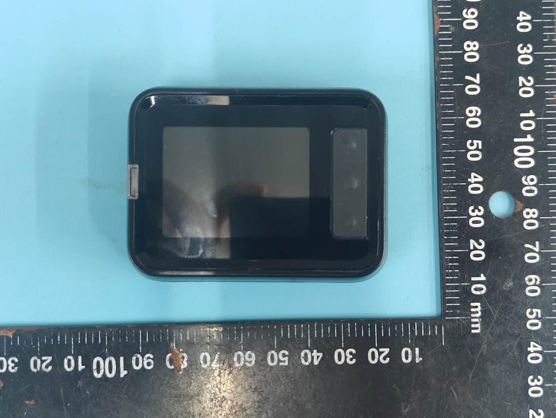 Alpha Pager 2 - FCC ID 2AB6ORXAP2 - Long Range Solutions, LLC (2)