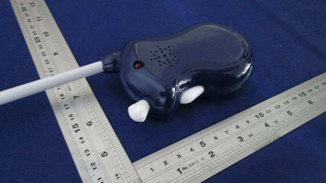 Walking Talking - FCC ID 2AB9HZTWJ662088 - CENTRESKY CRAFTS(SHANTOU) CO.,LTD (3)