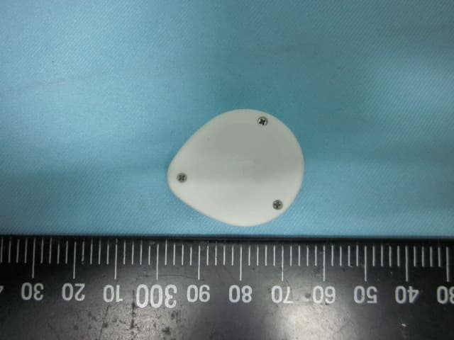 Guardian - FCC ID 2ABFTBELUVVGUARDIAN - Winzz Inc. (2)