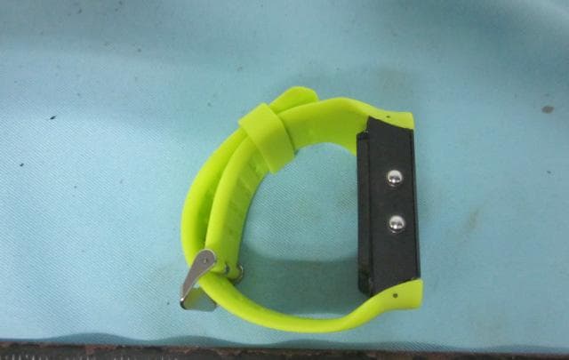 Sport Watch - FCC ID 2ABTA310X - Health & Life Co., Ltd.