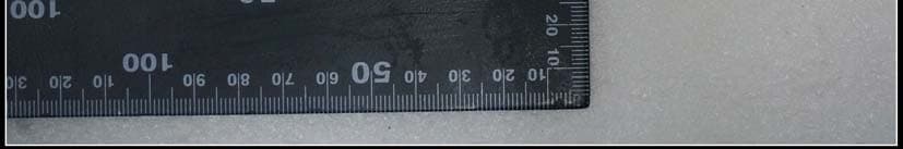 Electronic Thermometer - FCC ID 2AC6R-WT1 - Guangdong Biolight Meditech Co.,Ltd (2)