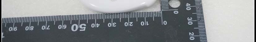 Electronic Thermometer - FCC ID 2AC6R-WT1 - Guangdong Biolight Meditech Co.,Ltd (5)