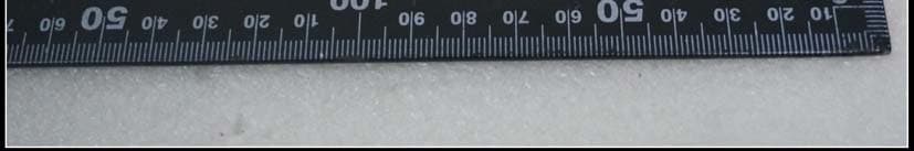 Electronic Thermometer - FCC ID 2AC6R-WT2 - Guangdong Biolight Meditech Co.,Ltd