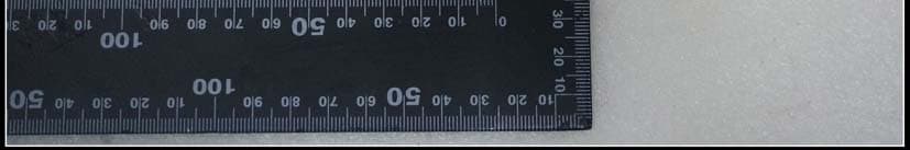 Electronic Thermometer - FCC ID 2AC6R-WT2 - Guangdong Biolight Meditech Co.,Ltd (5)