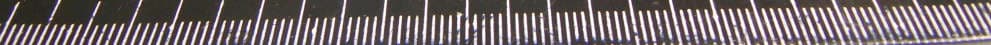 GSM Quad Band / UMTS Mobile Phone - FCC ID 2ACCJB031 - TCL Communication Ltd. (2)