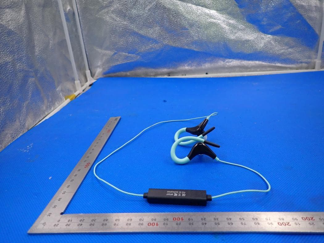 BLUETOOTH EARPHONES - FCC ID 2ACP4LBT251 - Sentry Industries limited (5)