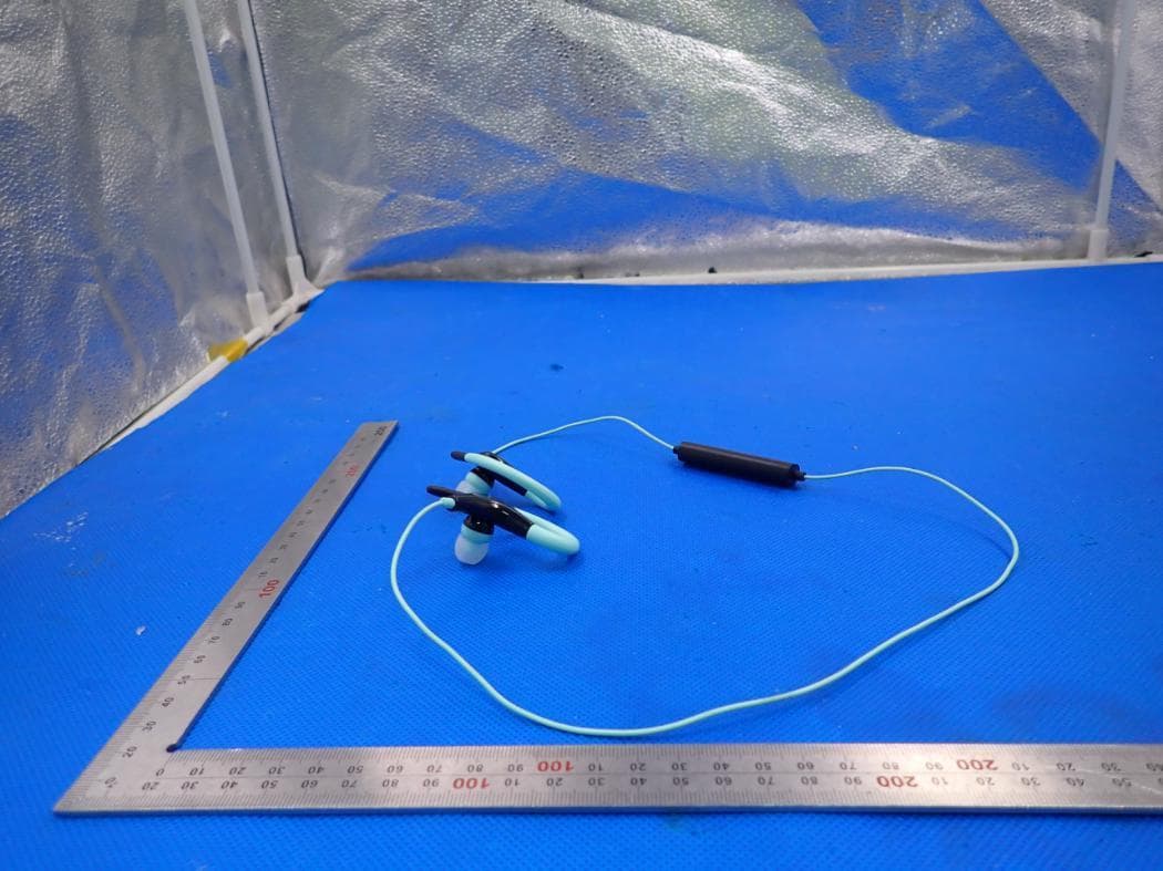 BLUETOOTH EARPHONES - FCC ID 2ACP4LBT251 - Sentry Industries limited (4)