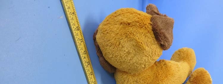 Bluebee Pals Bluetooth Plush - FCC ID 2ACRBBLUEBEE-PALS14 - Kayle Concepts, LLC (2)