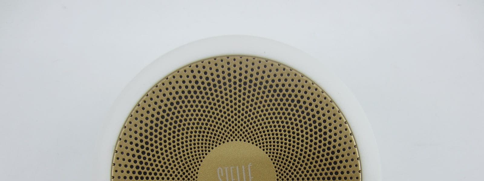 Wireless BT speaker - FCC ID 2AD3J-GOGO - Da Chang Industries Co., Ltd (3)