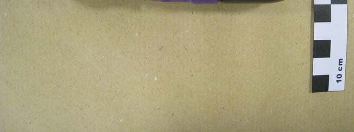 Vibratissimo Tre - FCC ID 2ADAR504003 - AMOR Gummiwaren GmbH (2)