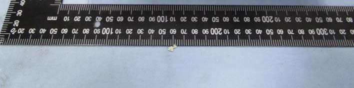 Gateway - FCC ID 2ADLSWLGW-G11002 - Nanjing IOT Sensor Technology Co.,Ltd. (4)