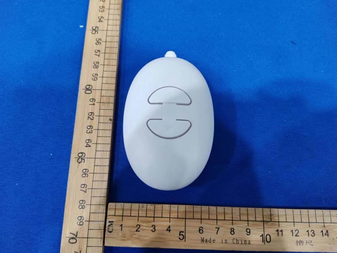 SQUID GAME RC DOLL - FCC ID 2ADM5-ET-0827 - Zeeva International Limited