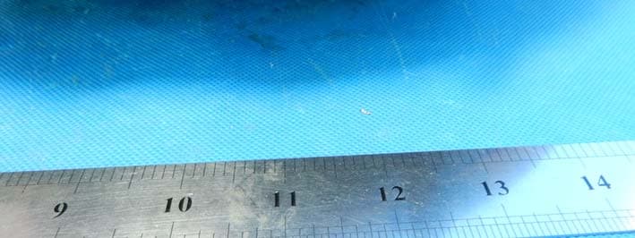INMOTION SCV V5 - FCC ID 2ADUSSCVV5 - INMOTION TECHNOLOGIES CO., LTD. (3)