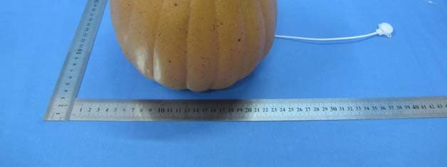 Bluetooth Speaker - FCC ID 2AEASGI-BT2300 - WOW CREATIONS HK LTD. ON BEHALF OF GIGGLES INT'L LTD. (2)