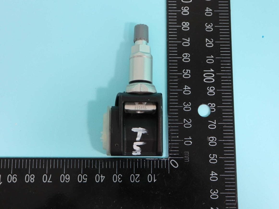 TPMS sensor - FCC ID 2AEIM-BTVMS01 - Tesla, Inc