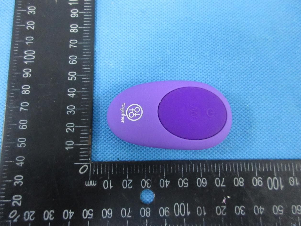 REMOTE CONTROL TOGETHER TOY-PURPLE - FCC ID 2AG2K-TOG-002TX - A&H Design Group, Ltd. (3)
