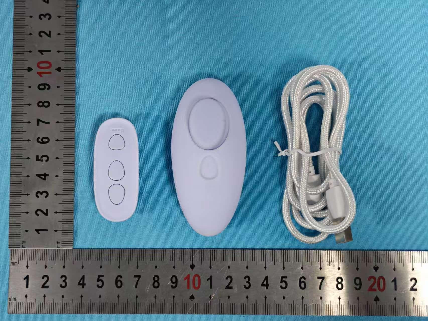 Rechargeable remote (LAY) - FCC ID 2AILY-LAY-IC - JM Sunflower Limited.