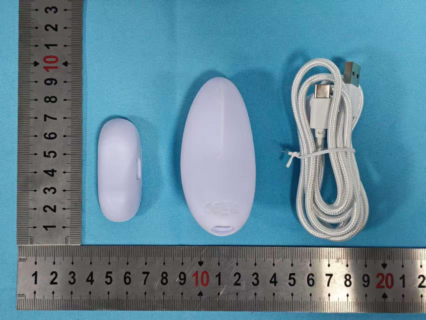 Rechargeable remote (LAY) - FCC ID 2AILY-LAY-IC - JM Sunflower Limited. (3)