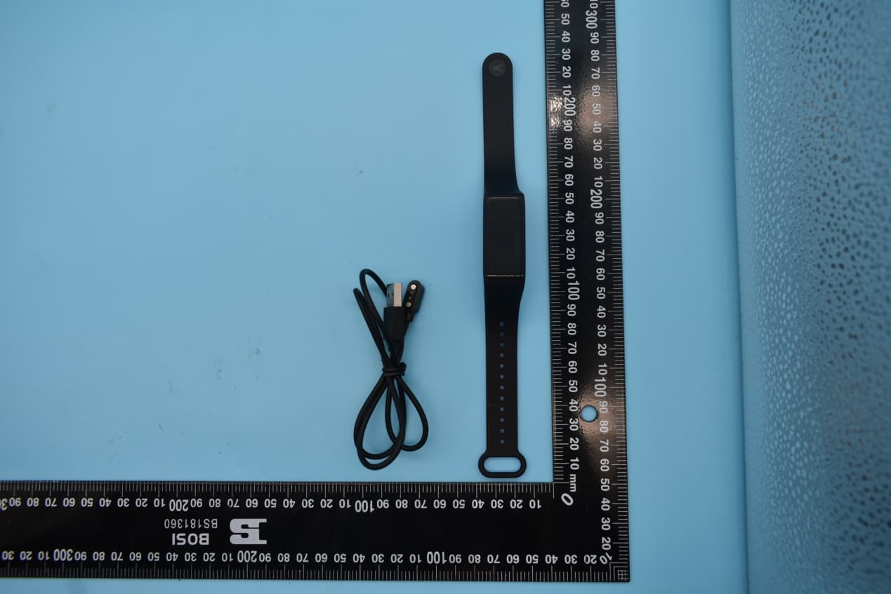 Smart Band (BT BLE) - FCC ID 2AK9FSWD90067 - Titan Company Limited (2)