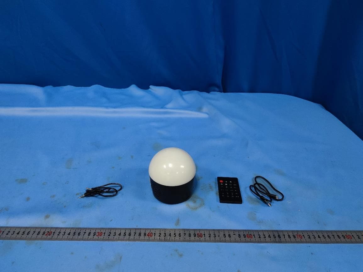 DISCO LAMP SPEAKER WITH COLOR/WHITE LED LIGHTING - FCC ID 2AKP3-100025111 - Zhejiang Fousine Science &Technology Co.Ltd. (3)