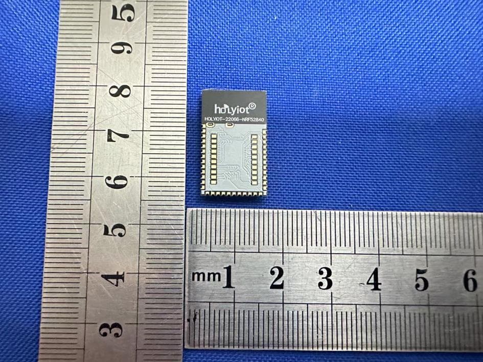 nRF52840 module - FCC ID 2ALGY-22066 - Shenzhen holyiot technology Co.,LTD (2)