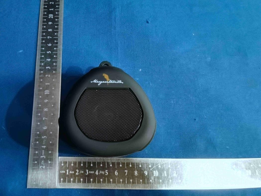 Tag Along Wireless Key Chain Speaker - FCC ID 2AMPL-MA129 - Dongshun Tech Development Limited (2)