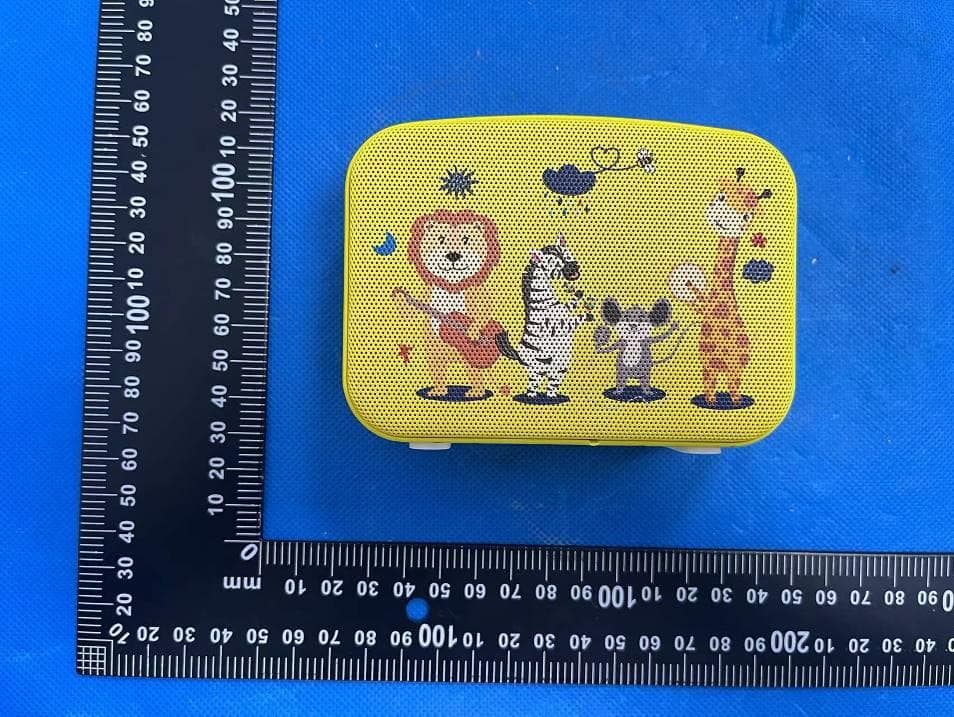 CARVAAN Mini - FCC ID 2AMX5-SSCKM130 - Saregama Inc (2)