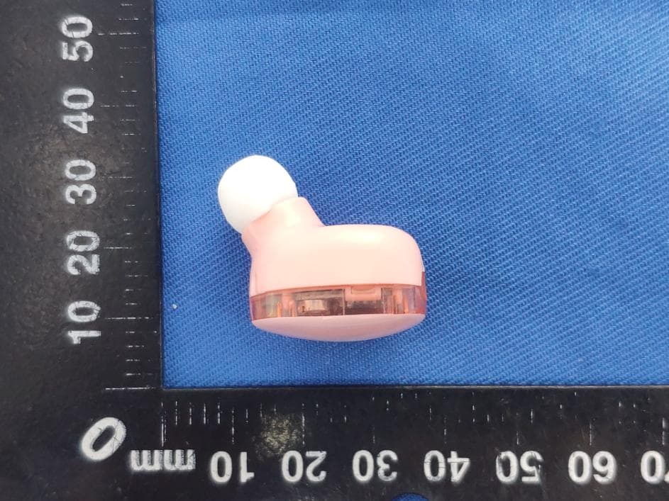 ANIMAL TWS - FCC ID 2AO9P14285 - Elita International Limited (2)