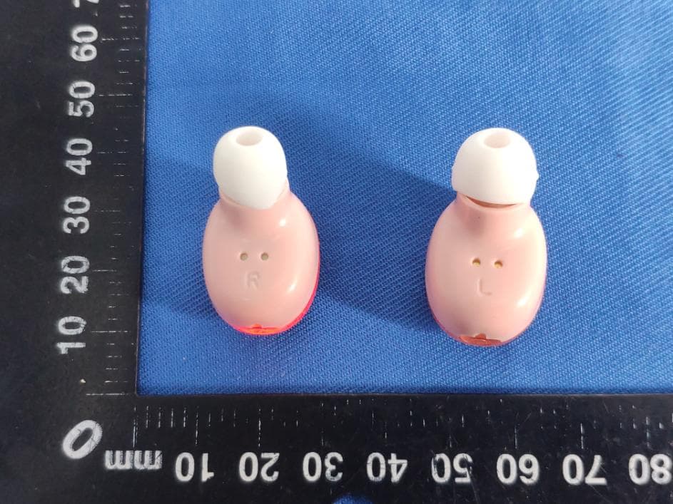 ANIMAL TWS - FCC ID 2AO9P14285 - Elita International Limited (4)