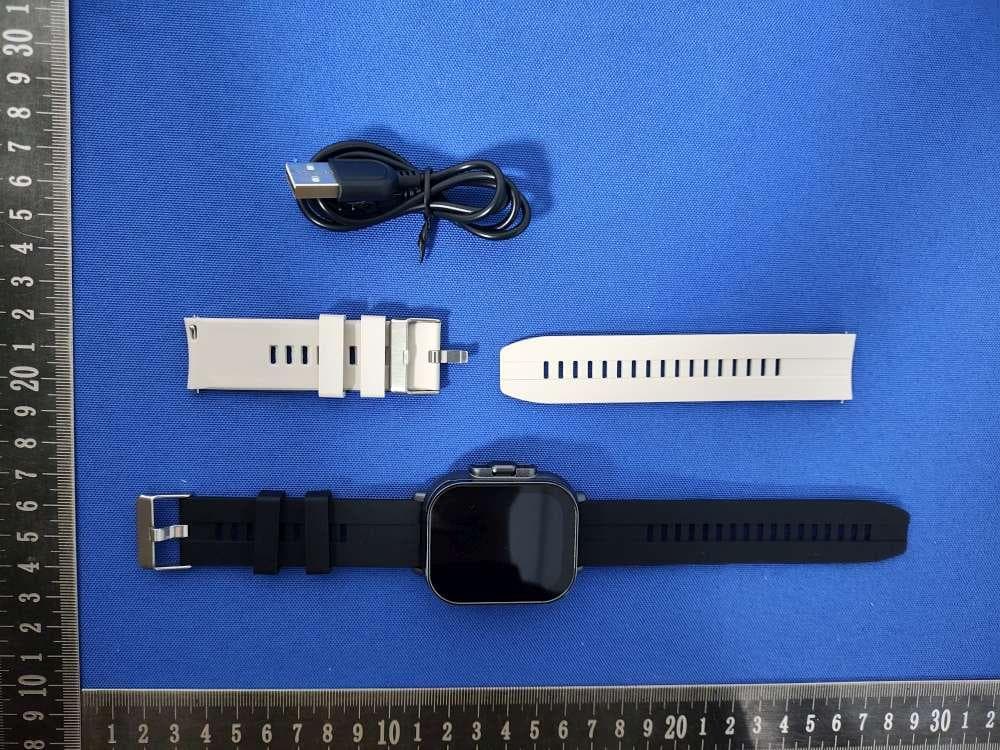 Smartwatch with Wireless Earbuds - FCC ID 2AON7-30774 - TZUMI Electronics,LLC (2)