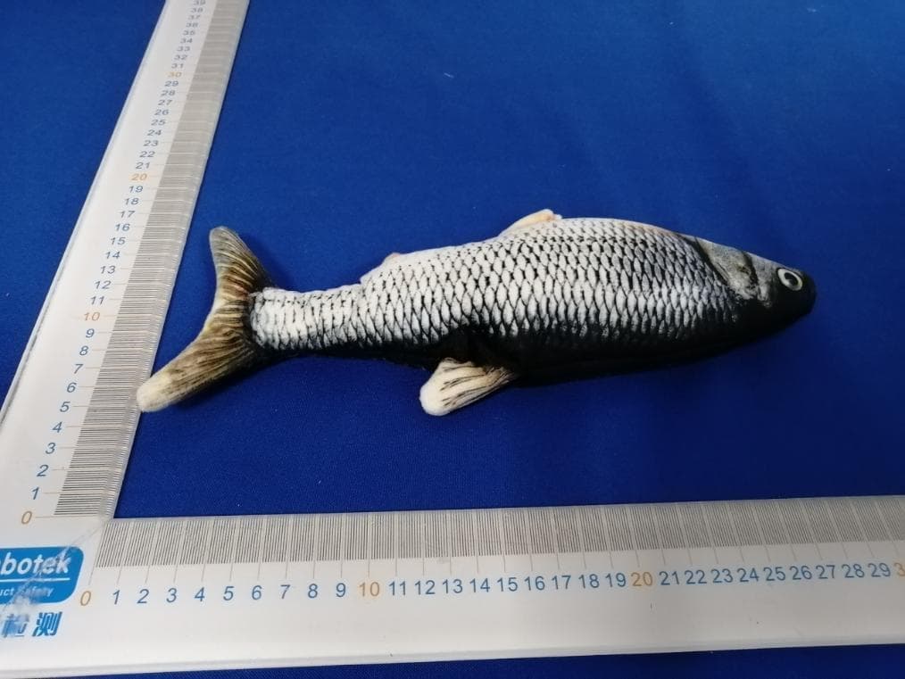 PetTec Plush Pet Toy Trout - FCC ID 2AONQ-PPTDT15966 - Stage10 GmbH (4)